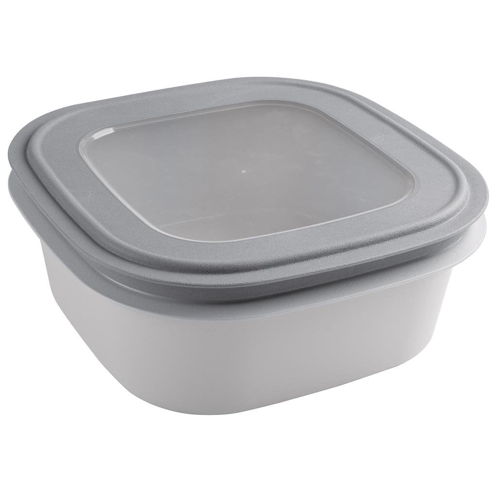 Sunware Sigma Home Aufbewahrungsbox 2,8 l, grau