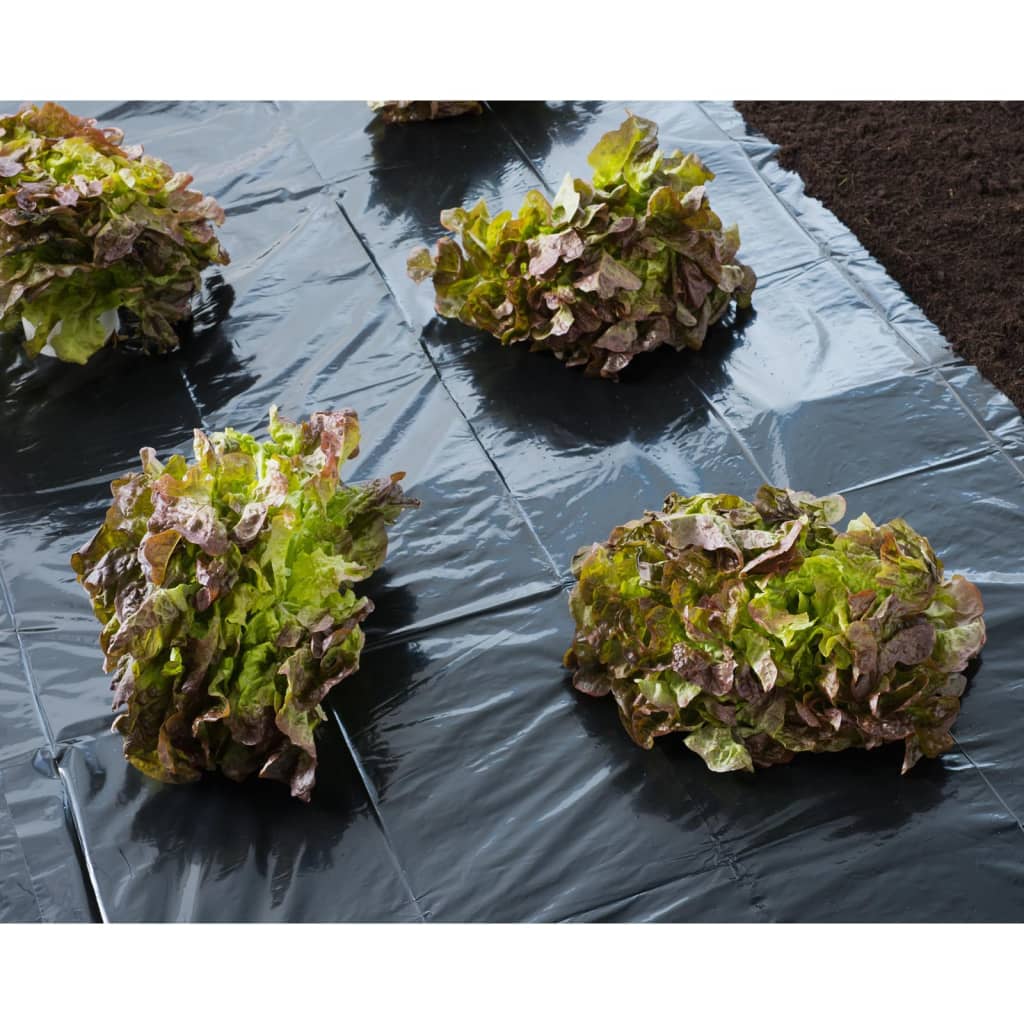 Nature Deckfolie 3x4 m 100 µ Schwarz
