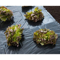 Nature Deckfolie 3x4 m 100 µ Schwarz