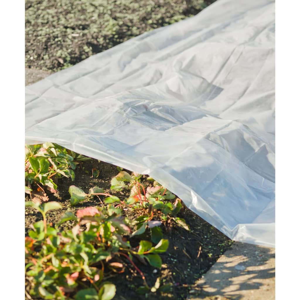 Natürliche Pflanzenabdeckung 3x4 m 200µm transparent