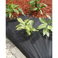 Nature anitworteldoek 120 g m² 1x10 m zwart