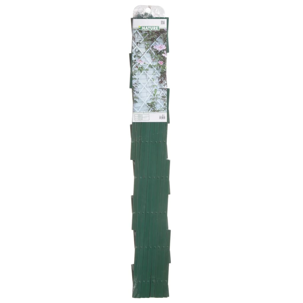 Klettergerüst für Naturpflanzen 100x200 cm PVC grün 6040704