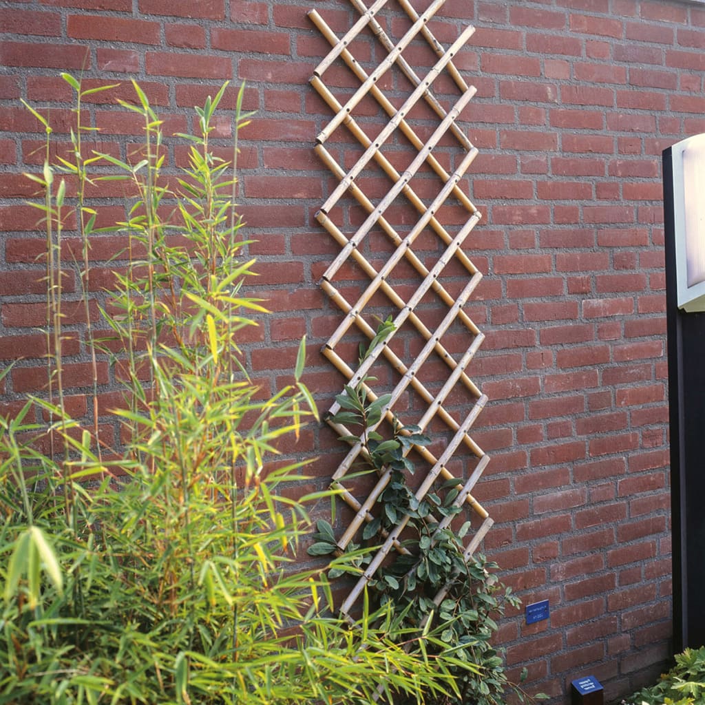 Nature Rankgitter für den Garten 45x180 cm Bambus 6040720