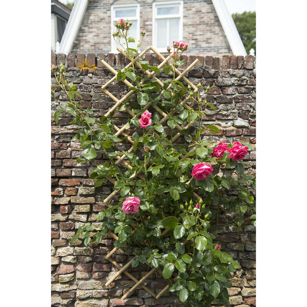 Nature Rankgitter für den Garten 45x180 cm Bambus 6040720
