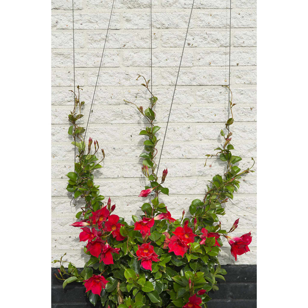 Nature spandraadsysteem voor klimplanten 6040760