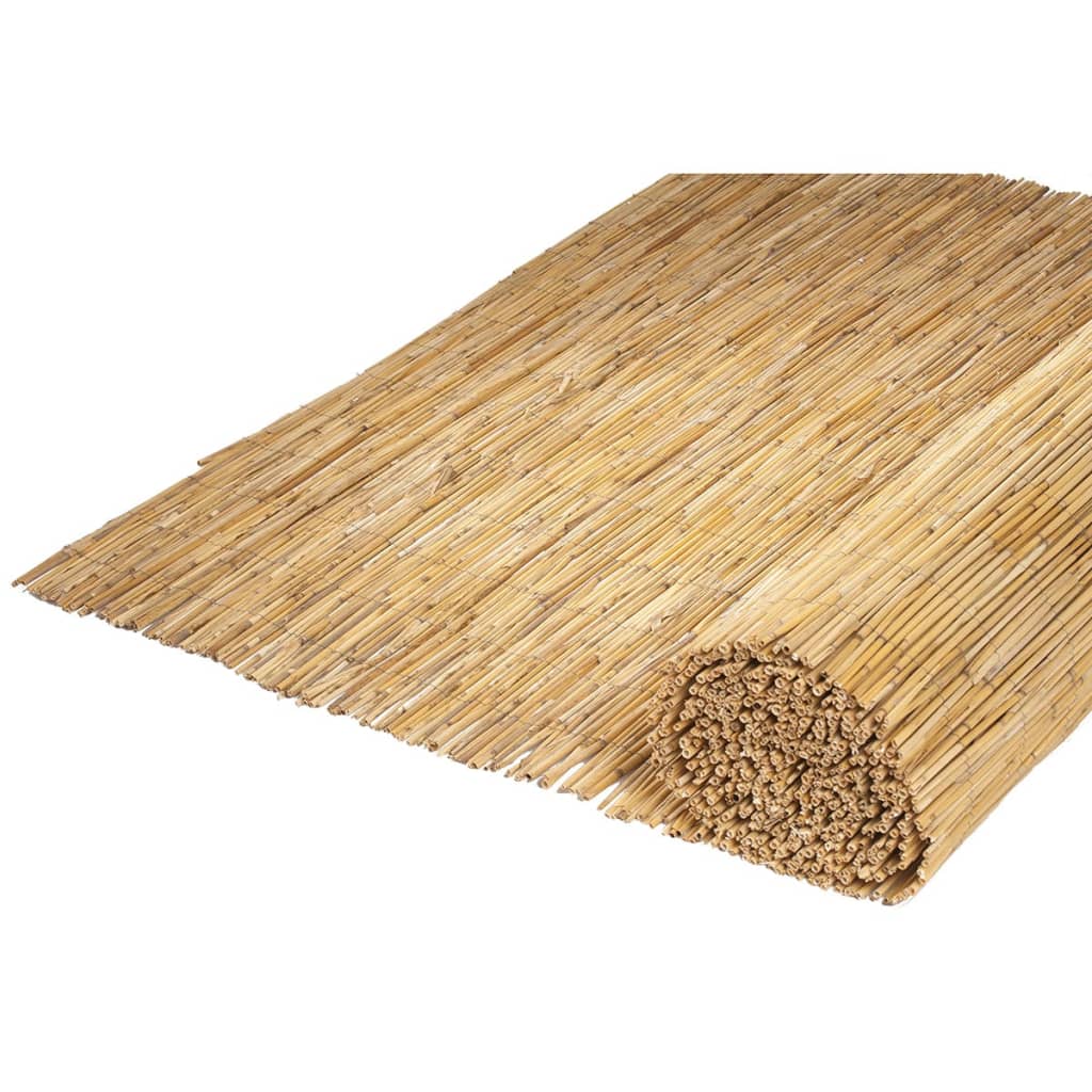 Natur Natur Schilfrohrmatte 1,5x5 m Bambooite