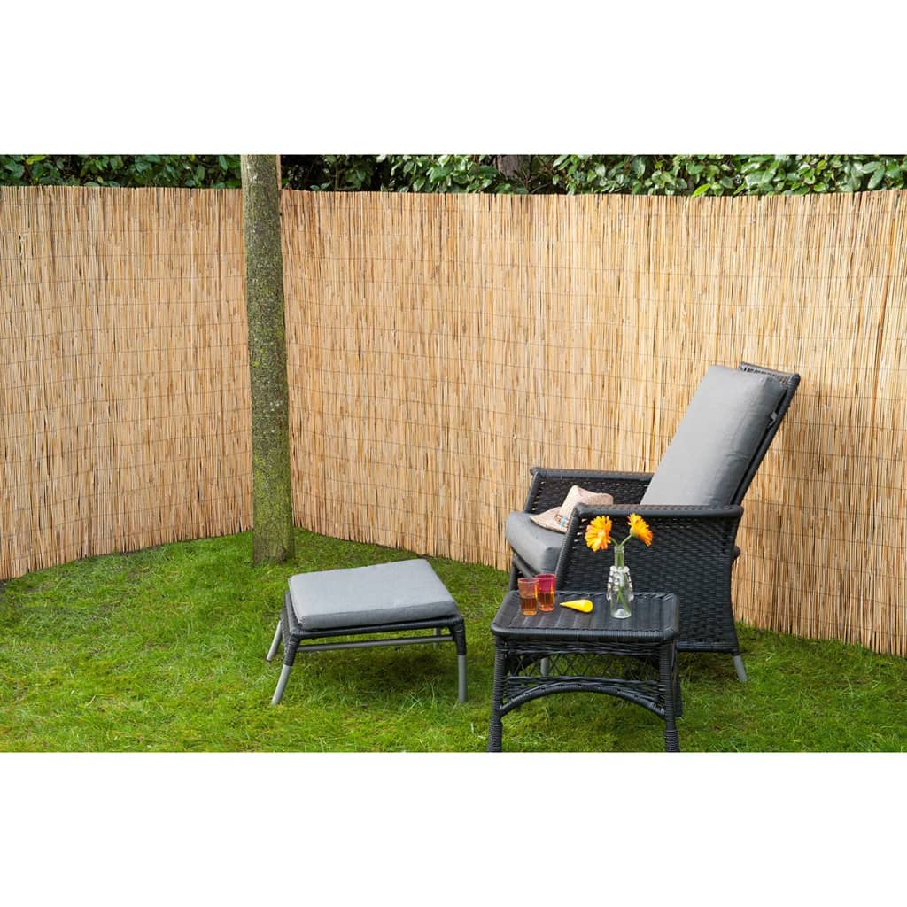 Natur Natur Schilfrohrmatte 1,5x5 m Bambooite