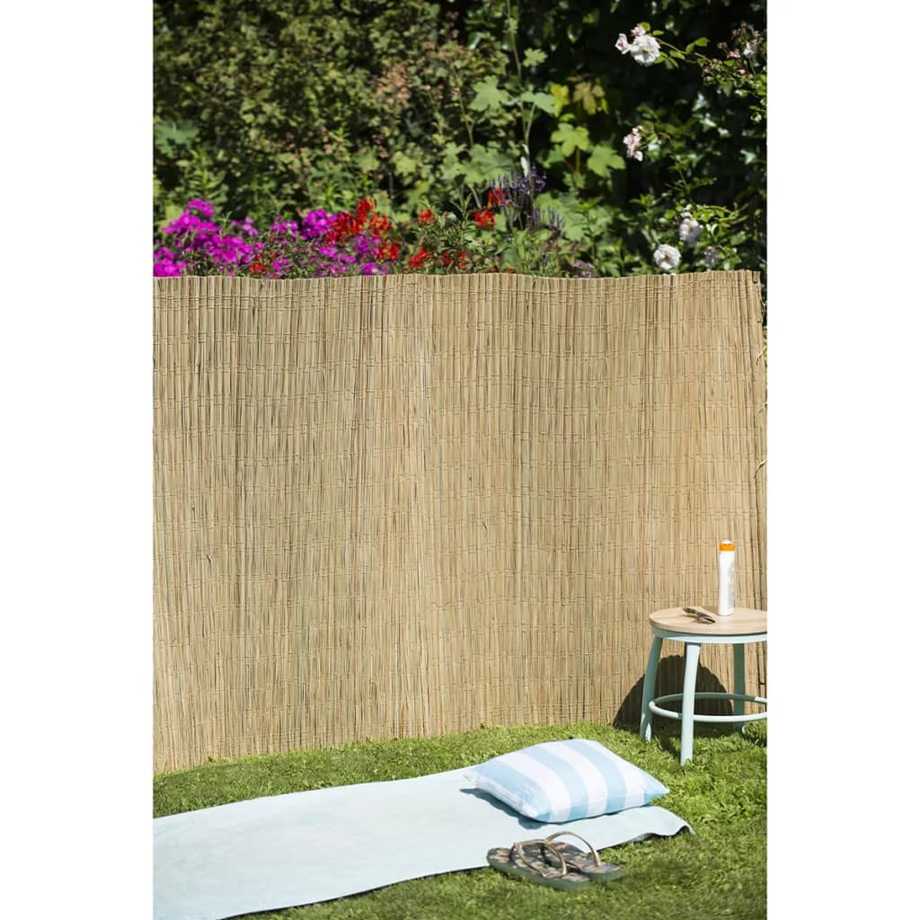 Nature Gartensichtschutz 1,5 x 3 m Zeggeria