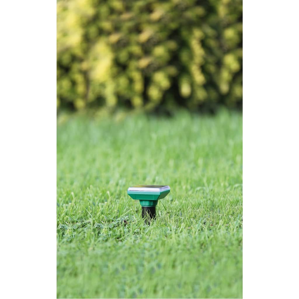 Nature Nature Mol Treiber Ultraschall Solar Energy