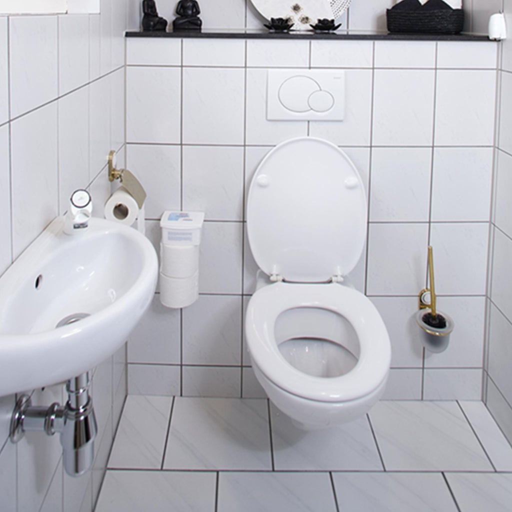 Hg eco toiletruimte reiniger