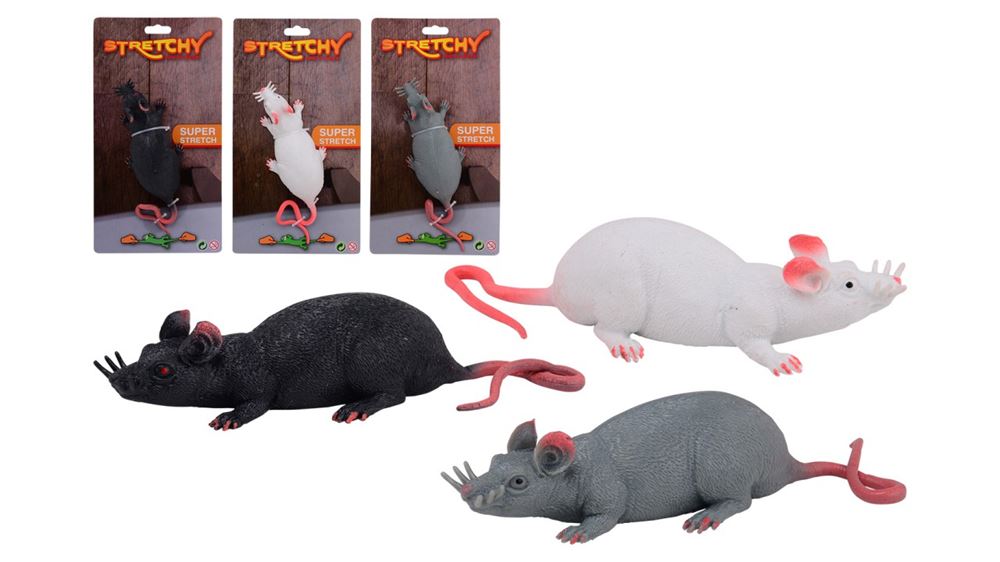Set animal world rat stretch 3 assortie