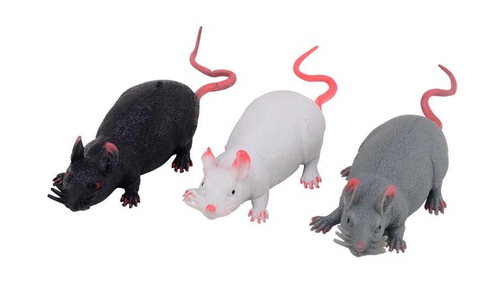 Set animal world rat stretch 3 assortie