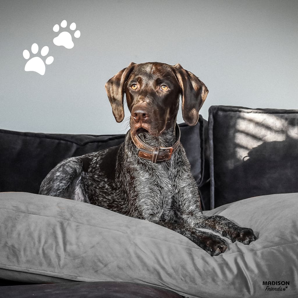 Madison Hundekissen aus Samt, 120 x 90 x 15 cm, grau
