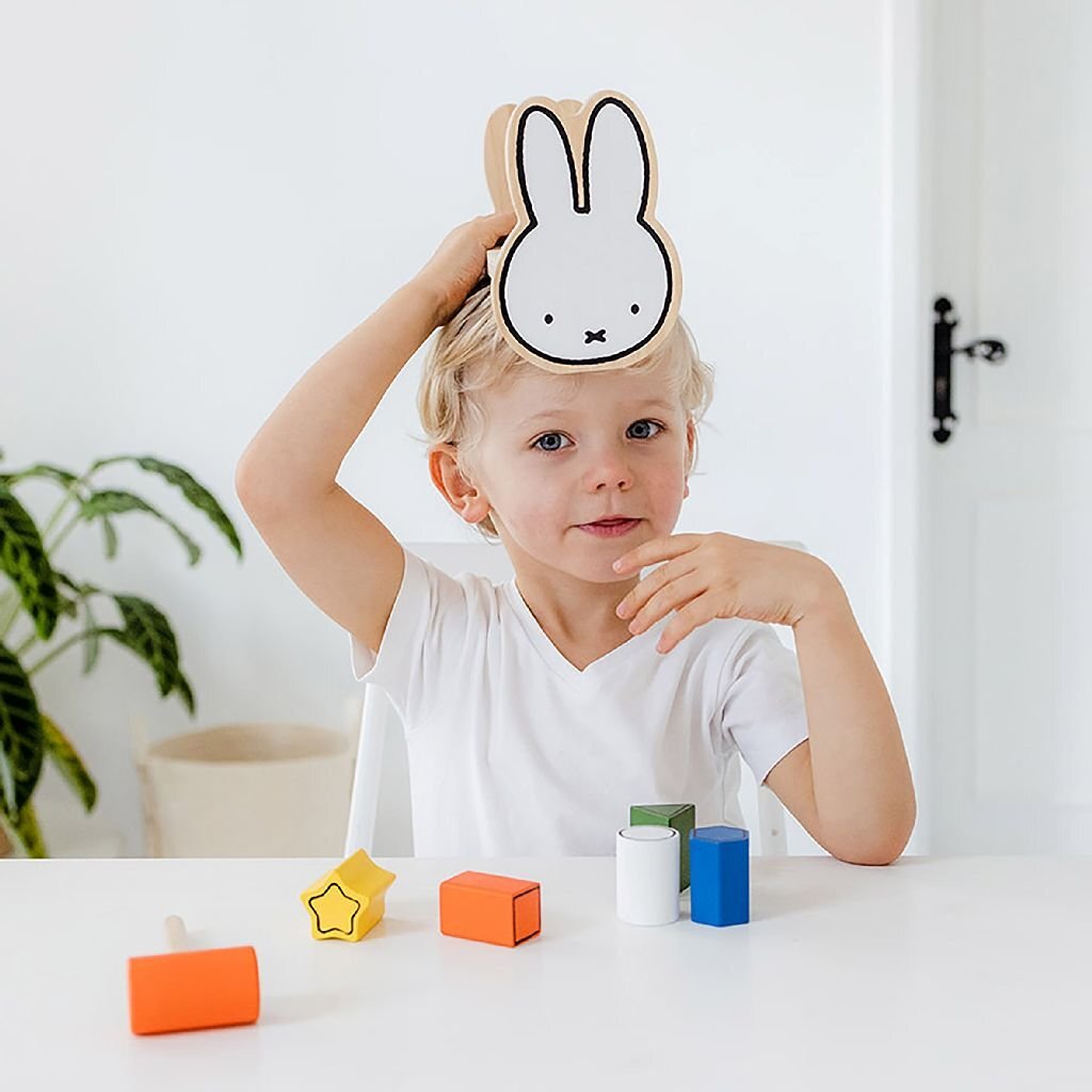 Bambolino toys nijntje hamerbankje hout