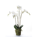 Smaragdgrüne künstliche Orchidee mit Moos, weiß, 90 cm, 20,355