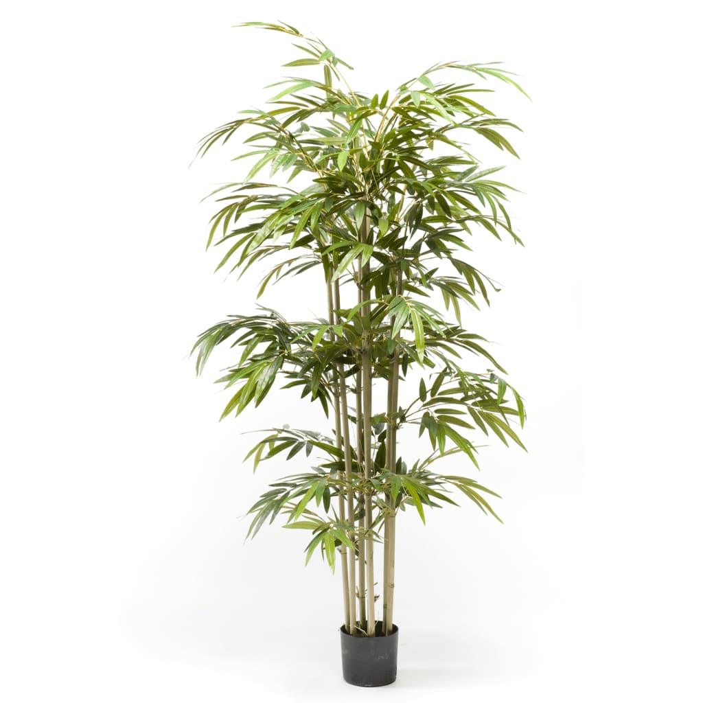Smaragdgrüne Bambuspflanze, 150 cm