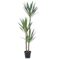 Smaragdgrüne künstliche Yucca-Pflanze im Topf, 150 cm