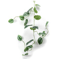 Smaragd Smaragd Künstlungspflanze Hilder Scindapsus Bild 120 cm