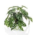 Smaragdgrüne künstliche Pflanze im Topf, Monstera-Strauch, 55 cm