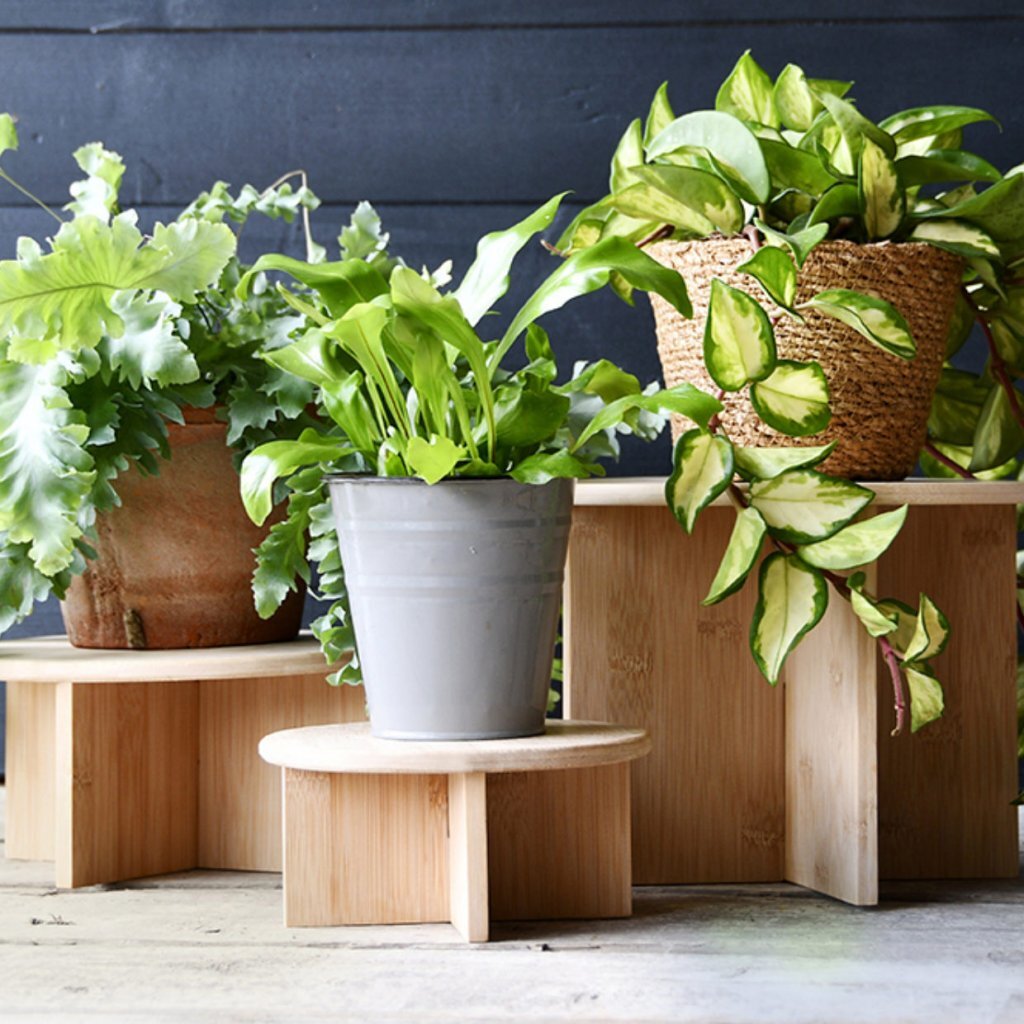 Plantentafeltje bamboe l | 2 stuks