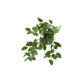 Countryfield kunstplant peperomia groen h23cm