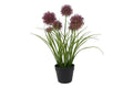 Countryfield kunstplant allium h60cm