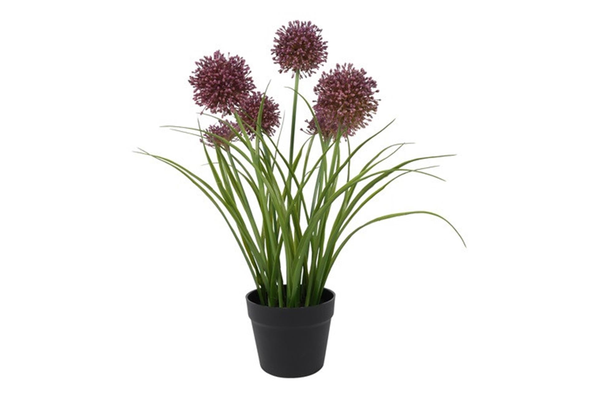 Countryfield kunstplant allium h60cm