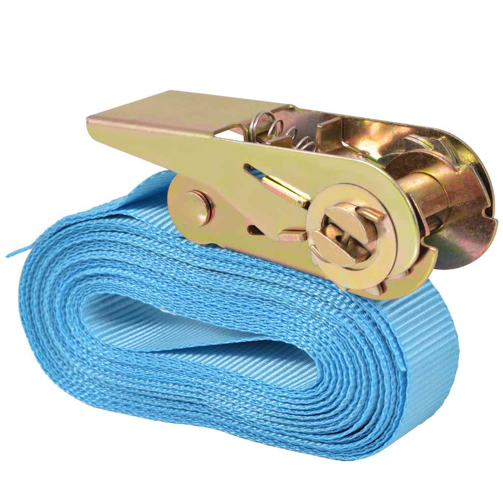 VidaXL Zurrgurte 0,8 Tonnen 6 m x 25 mm Blau 4 Stück