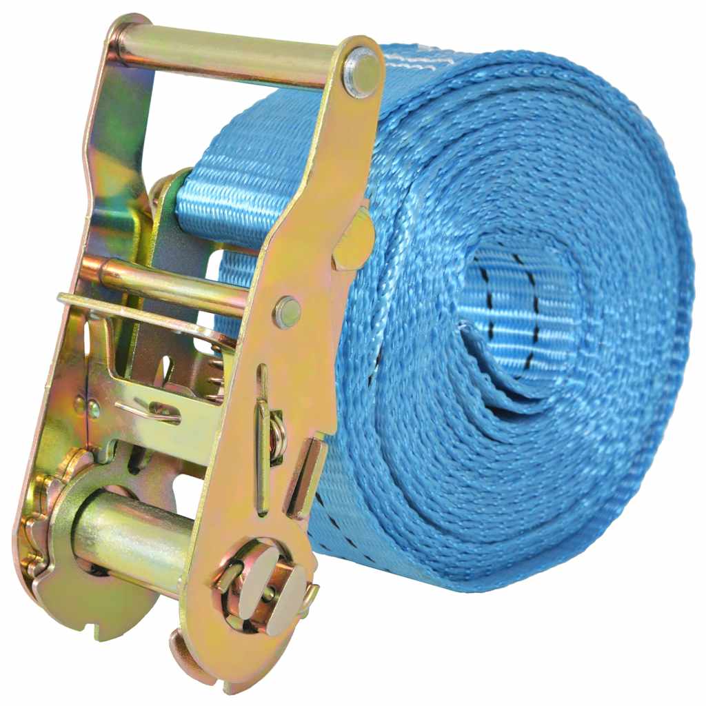 VidaXL Zurrgurte 2 Tonnen 6 m x 38 mm Blau 4 Stück