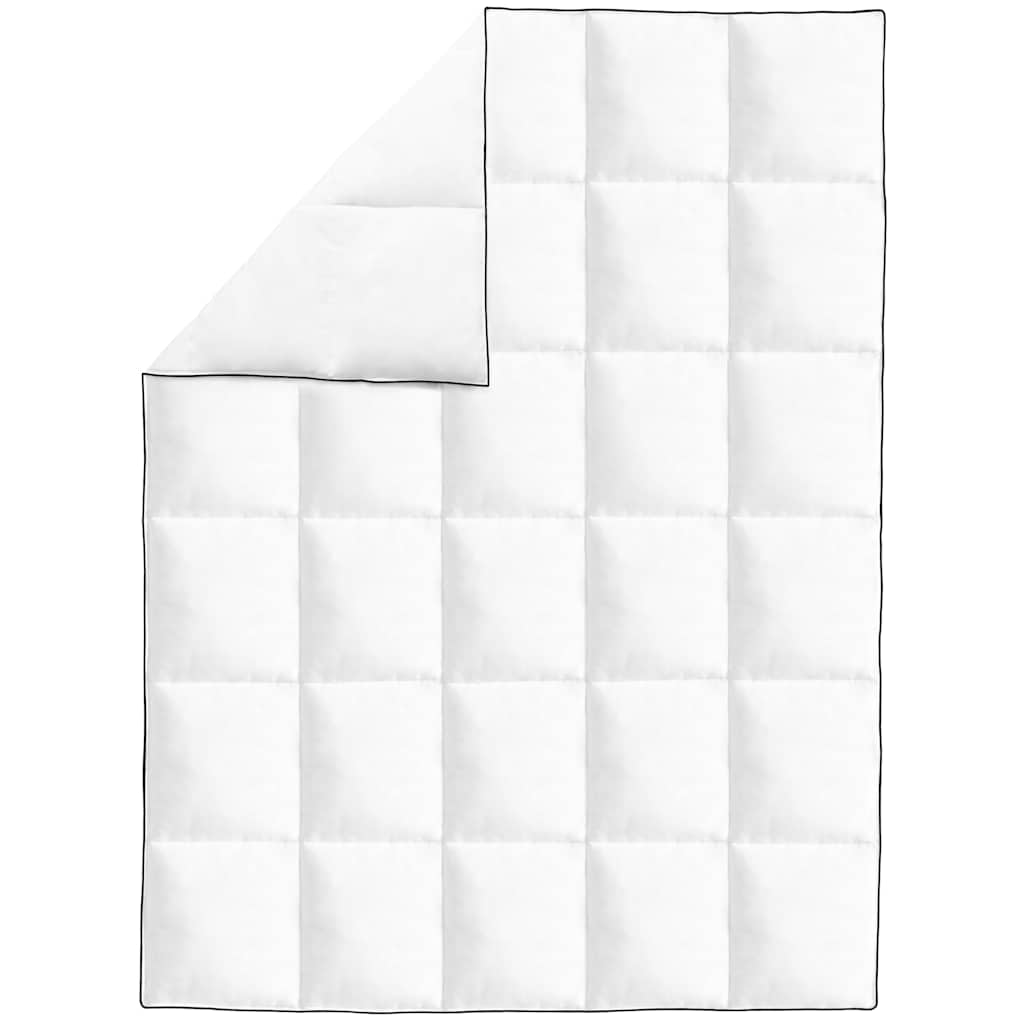 Vidaxl winterdekbedden 2 st 135x200 cm dons