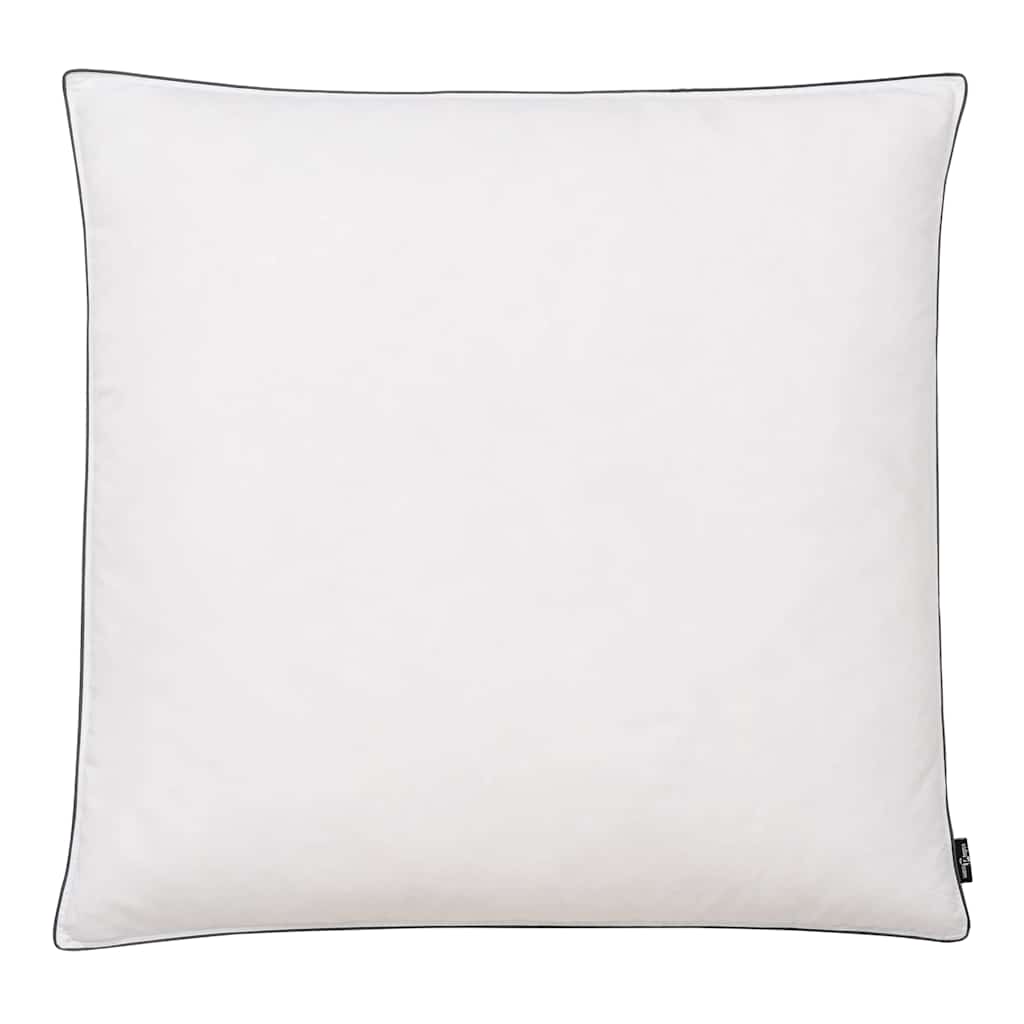 Vidaxl kussens 2 st licht 80x80 cm dons- verenvulling wit