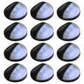VidaXL LED-Solarwandleuchten, rund, schwarz, 12 Stück