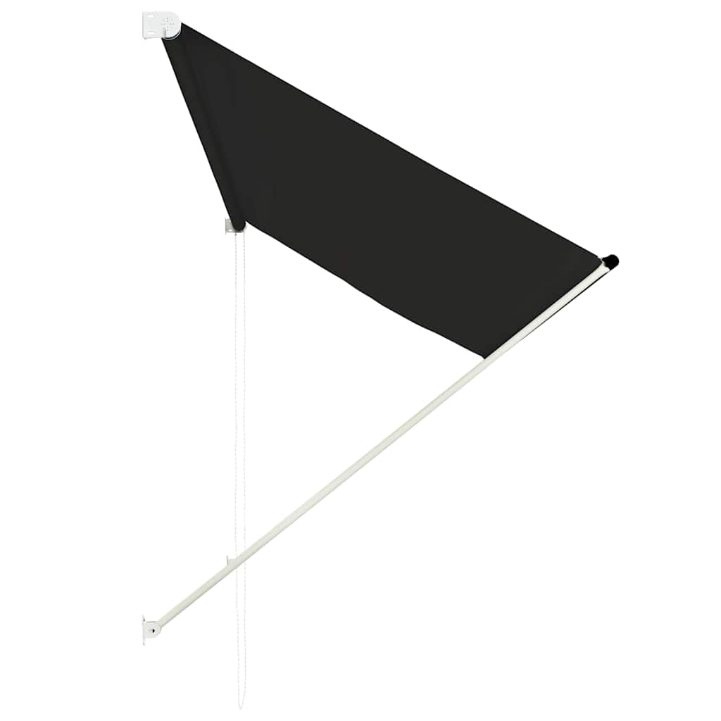 VIDAXL Markise, Erbelung 250x150 cm, Anthrazit
