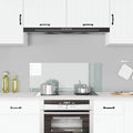 VIDAXL FRAGE SREBEN KITCHE 100x40 cm Teralglas transparent
