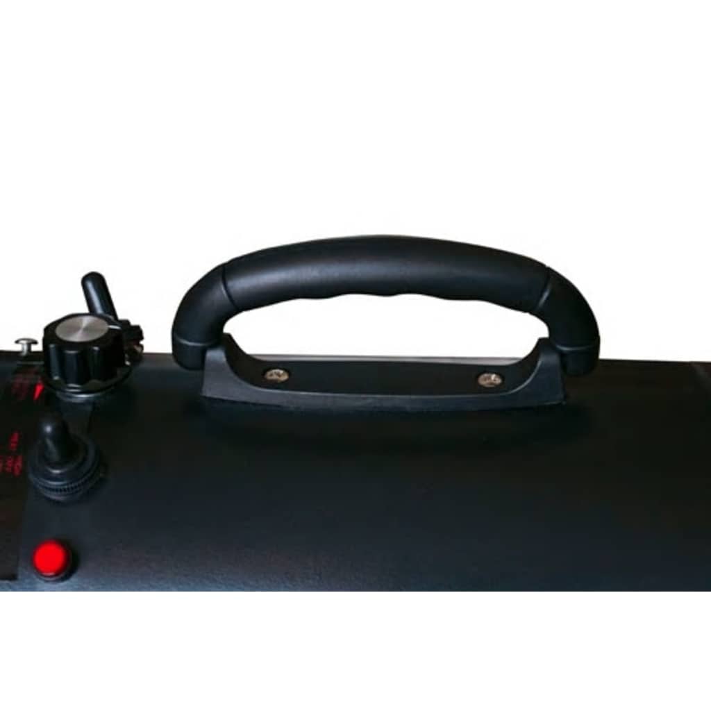 VidaXL Hundehaartrockner mit 3 Haken, 2400 W, schwarz