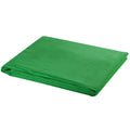 Vidaxl achtergrond zonder standaard chromakey 500x300 cm katoen groen