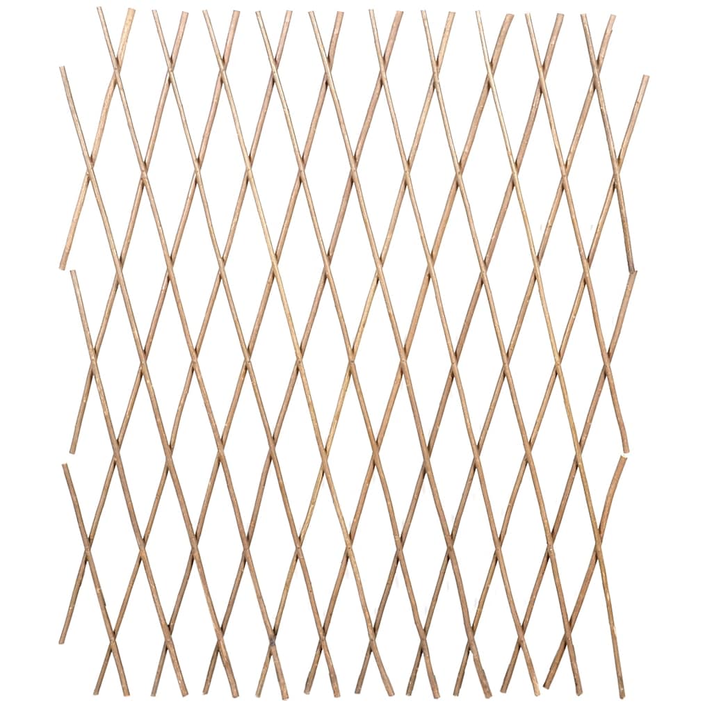Vidaxl tuinlatwerk 5 st 180x90 cm wilg