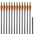 VidaXL Compoundbogen Standard 30 0,8 cm Fiberglaspfeile 12 Stück