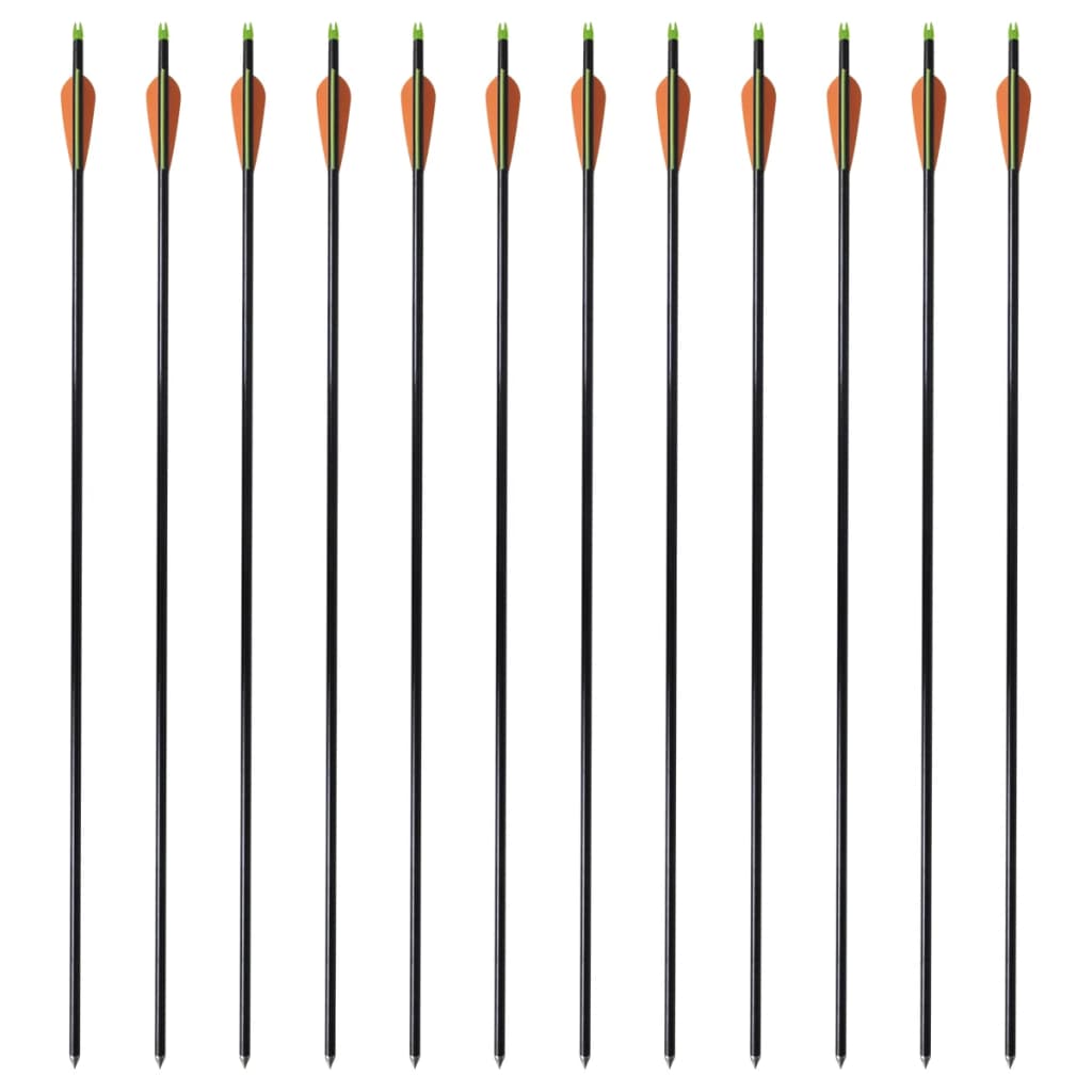 VidaXL Compoundbogen Standard 30 0,8 cm Fiberglaspfeile 12 Stück