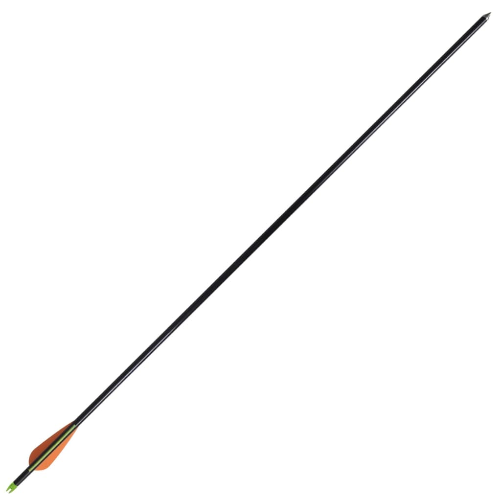 VidaXL Compoundbogen Standard 30 0,8 cm Fiberglaspfeile 12 Stück