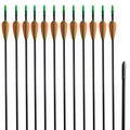 VidaXL Recurve-Bogenständer mit Pfeilen, 30 Zoll, 0,6 cm, Fiberglas, 12-teilig