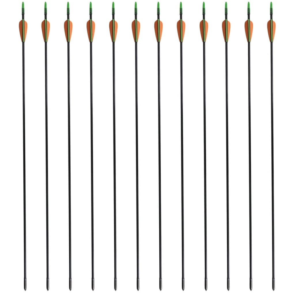 VidaXL Recurve-Bogenständer mit Pfeilen, 30 Zoll, 0,6 cm, Fiberglas, 12-teilig