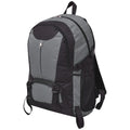 VidaXL Wanderrucksack 40 l Schwarz und Grau