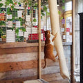 Quapas! Klettersack für Katzen, 180 cm, Sisal