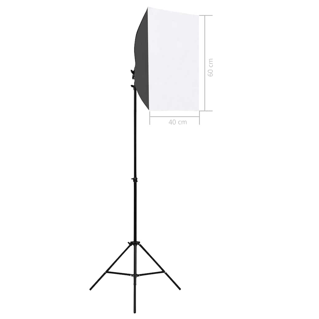 Vidaxl professionele studiolampen 2 st 40x60 cm staal zwart