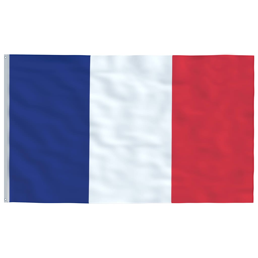 VidaXL Flagge Frankreich 90x150 cm