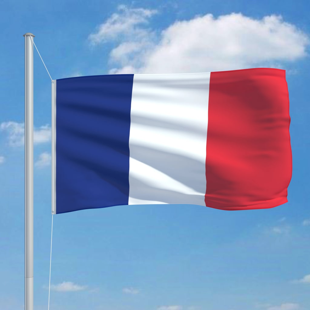 VidaXL Flagge Frankreich 90x150 cm
