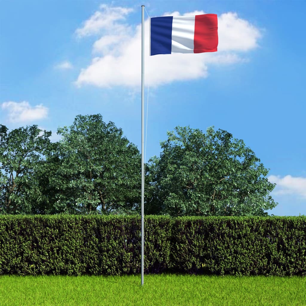 VidaXL Flagge Frankreich 90x150 cm