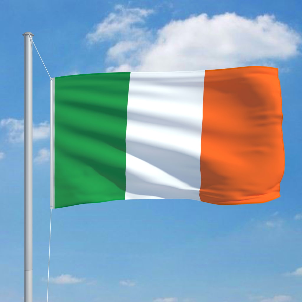 VidaXL Flagge Irland 90x150 cm