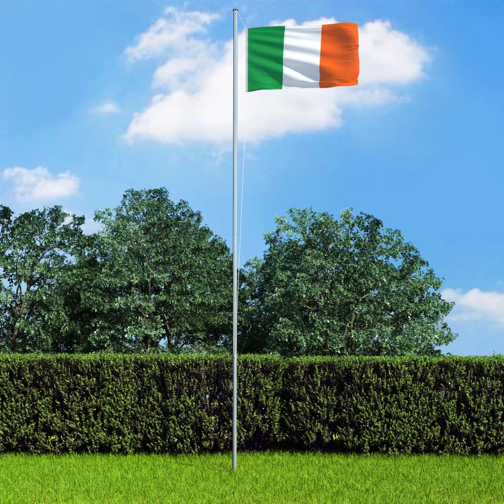 VidaXL Flagge Irland 90x150 cm